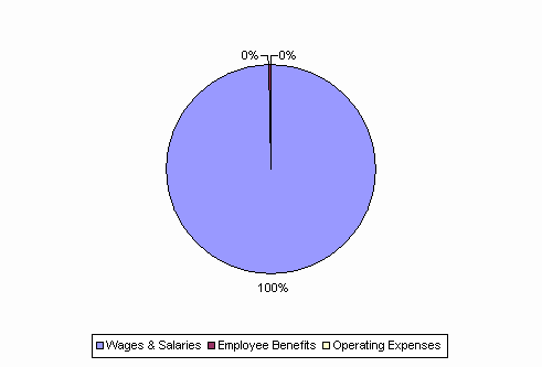 Pie Chart: Wages & Salaries=100%, Employee Benefits=0%, Operating Expenses=0%