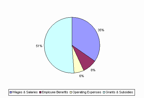 Pie Chart: Wages & Salaries=35%, Employee Benefits=8%, Operating Expenses=6%, Grants & Subsidies=51%