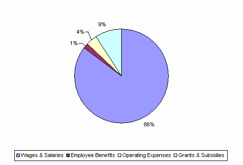 Pie Chart: Wages & Salaries=86%, Employee Benefits=1%, Operating Expenses=4%, Grants & Subsidies=9%