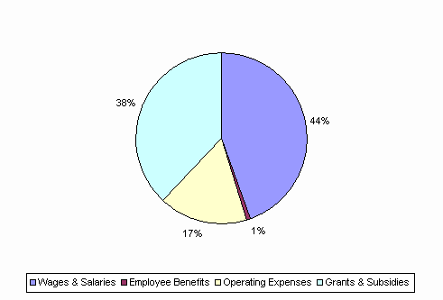 Pie Chart: Wages & Salaries=44%, Employee Benefits=1%, Operating Expenses=17%, Grants & Subsidies=38%