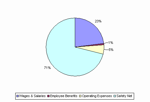 Pie Chart: Wages & Salaries=23%, Employee Benefits=1%, Operating Expenses=5%, Safety Net=71%