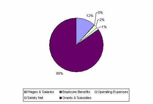 Pie Chart: Wages & Salaries=12%, Employee Benefits=0%, Operating Expenses=2%, Safety Net=1%, Grants & Subsidies=85%