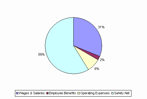 Pie Chart: Wages & Salaries=31%, Employee Benefits=2%, Operating Expenses=8%, Safety Net=59%