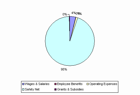 Pie Chart: Wages & Salaries=4%, Employee Benefits=0%, Operating Expenses=1%, Safety Net=95%, Grants & Subsidies=0%