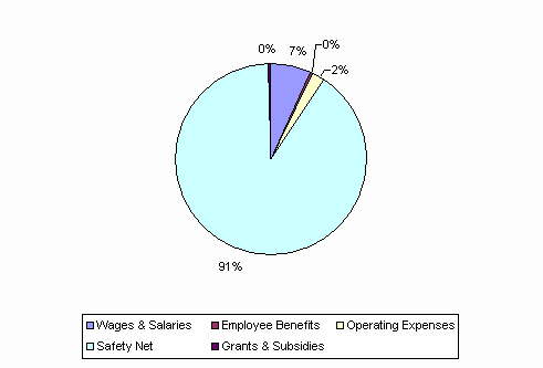 Pie Chart: Wages & Salaries=7%, Employee Benefits=0%, Operating Expenses=2%, Safety Net=91%, Grants & Subsidies=0%