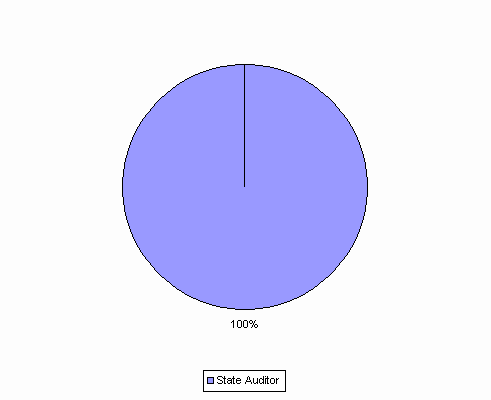 Pie Chart: State Auditor=100%