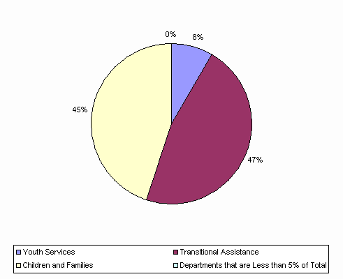 Pie Chart: Youth Services=8%, Transitional Assistance=47%, Children and Families=45%, Departments that are Less than 5% of Total=0%