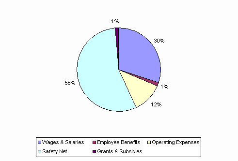 Pie Chart: Wages & Salaries=30%, Employee Benefits=1%, Operating Expenses=12%, Safety Net=56%, Grants & Subsidies=1%