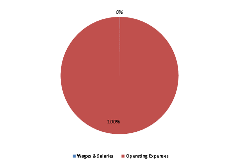 Pie Chart: Wages & Salaries=0%, Operating Expenses=100%