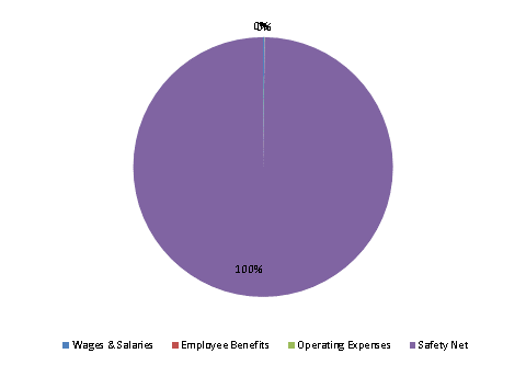 Pie Chart: Wages & Salaries=0%, Employee Benefits=0%, Operating Expenses=0%, Safety Net=100%