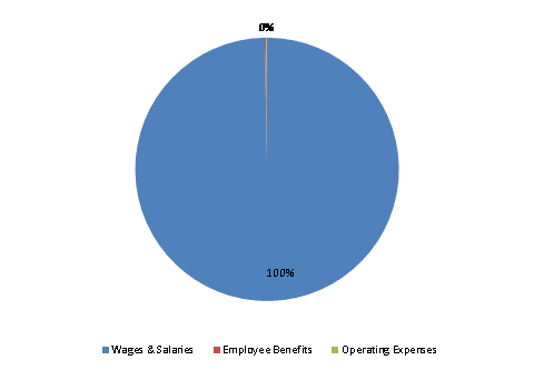 Pie Chart: Wages & Salaries=100%, Employee Benefits=0%, Operating Expenses=0%