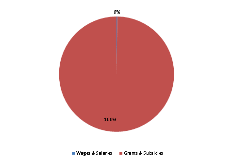 Pie Chart: Wages & Salaries=0%, Grants & Subsidies=100%