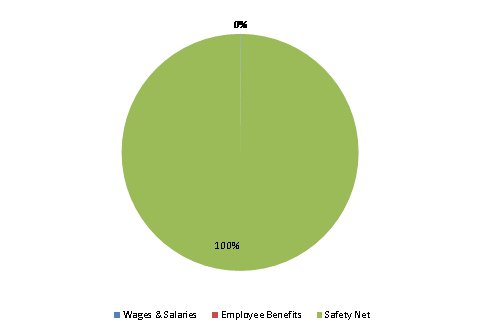 Pie Chart: Wages & Salaries=0%, Employee Benefits=0%, Safety Net=100%