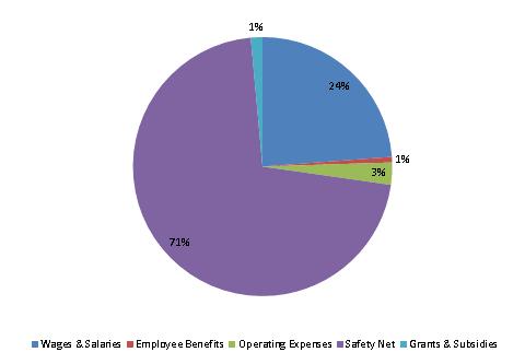 Pie Chart: Wages & Salaries=24%, Employee Benefits=1%, Operating Expenses=3%, Safety Net=71%, Grants & Subsidies=1%