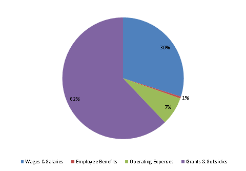 Pie Chart: Wages & Salaries=30%, Employee Benefits=1%, Operating Expenses=7%, Grants & Subsidies=62%