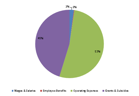 Pie Chart: Wages & Salaries=2%, Employee Benefits=0%, Operating Expenses=53%, Grants & Subsidies=45%