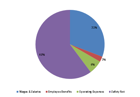 Pie Chart: Wages & Salaries=31%, Employee Benefits=2%, Operating Expenses=6%, Safety Net=61%