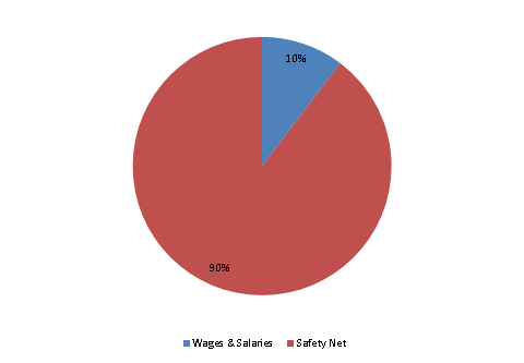 Pie Chart: Wages & Salaries=10%, Safety Net=90%