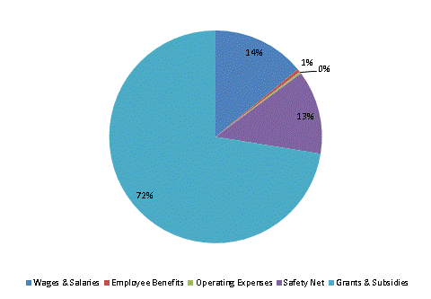 Pie Chart: Wages & Salaries=14%, Employee Benefits=0%, Operating Expenses=0%, Safety Net=13%, Grants & Subsidies=73%