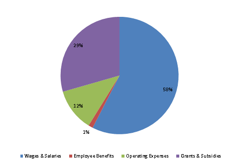 Pie Chart: Wages & Salaries=58%, Employee Benefits=1%, Operating Expenses=12%, Grants & Subsidies=29%