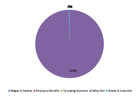 Pie Chart: Wages & Salaries=0%, Employee Benefits=0%, Operating Expenses=0%, Safety Net=100%, Grants & Subsidies=0%