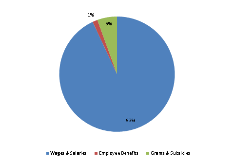 Pie Chart: Wages & Salaries=93%, Employee Benefits=1%, Grants & Subsidies=6%