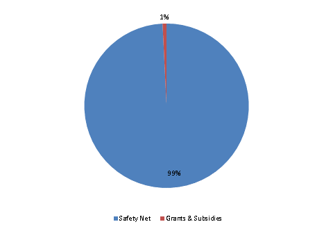 Pie Chart: Safety Net=99%, Grants & Subsidies=1%