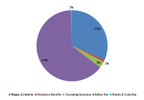 Pie Chart: Wages & Salaries=31%, Employee Benefits=1%, Operating Expenses=3%, Safety Net=64%, Grants & Subsidies=1%