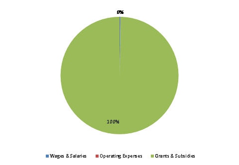 Pie Chart: Wages & Salaries=0%, Operating Expenses=0%, Grants & Subsidies=100%