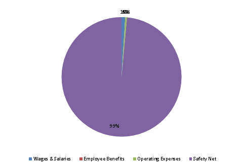 Pie Chart: Wages & Salaries=1%, Employee Benefits=0%, Operating Expenses=0%, Safety Net=99%