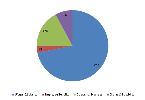 Pie Chart: Wages & Salaries=72%, Employee Benefits=3%, Operating Expenses=17%, Grants & Subsidies=8%