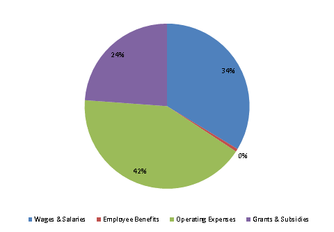 Pie Chart: Wages & Salaries=34%, Employee Benefits=1%, Operating Expenses=41%, Grants & Subsidies=24%