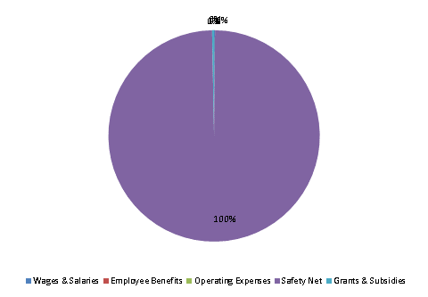 Pie Chart: Wages & Salaries=0%, Employee Benefits=0%, Operating Expenses=0%, Safety Net=100%, Grants & Subsidies=0%