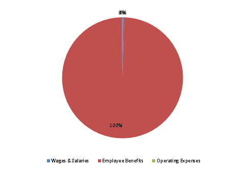 Pie Chart: Wages & Salaries=0%, Employee Benefits=100%, Operating Expenses=0%