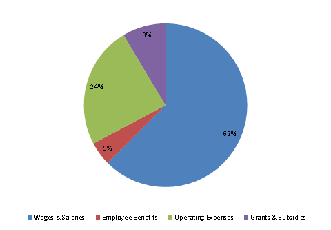 Pie Chart: Wages & Salaries=62%, Employee Benefits=5%, Operating Expenses=24%, Grants & Subsidies=9%