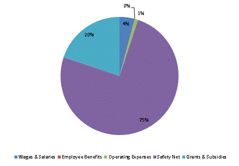 Pie Chart: Wages & Salaries=4%, Employee Benefits=0%, Operating Expenses=1%, Safety Net=75%, Grants & Subsidies=20%