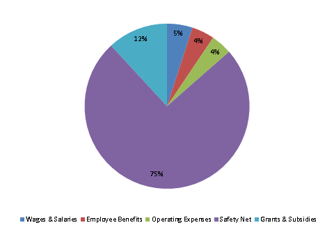 Pie Chart: Wages & Salaries=5%, Employee Benefits=4%, Operating Expenses=4%, Safety Net=75%, Grants & Subsidies=12%