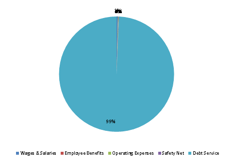 Pie Chart: Wages & Salaries=0%, Employee Benefits=0%, Operating Expenses=0%, Safety Net=0%, Debt Service=100%