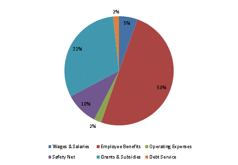 Pie Chart: Wages & Salaries=5%, Employee Benefits=50%, Operating Expenses=2%, Safety Net=10%, Grants & Subsidies=31%, Debt Service=2%