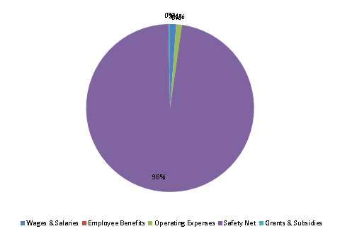 Pie Chart: Wages & Salaries=1%, Employee Benefits=0%, Operating Expenses=1%, Safety Net=98%, Grants & Subsidies=0%