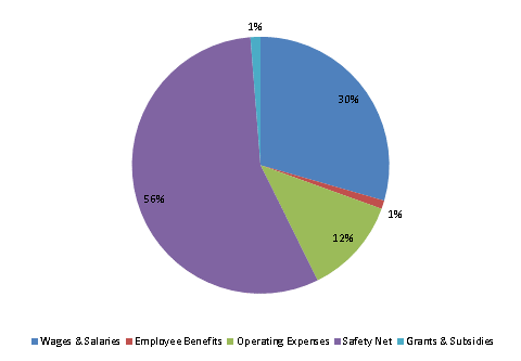 Pie Chart: Wages & Salaries=29%, Employee Benefits=1%, Operating Expenses=12%, Safety Net=57%, Grants & Subsidies=1%