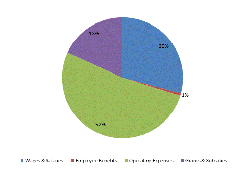 Pie Chart: Wages & Salaries=29%, Employee Benefits=1%, Operating Expenses=52%, Grants & Subsidies=18%