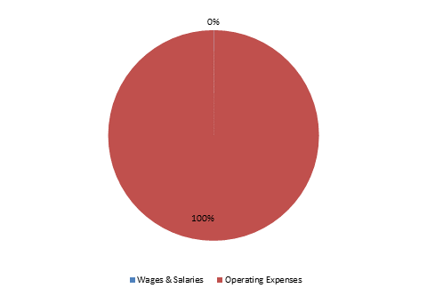 Pie Chart: Wages & Salaries=0%, Operating Expenses=100%