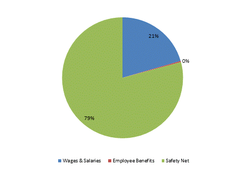 Pie Chart: Wages & Salaries=21%, Employee Benefits=0%, Safety Net=79%