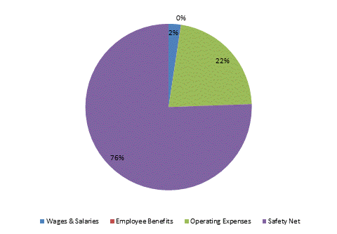 Pie Chart: Wages & Salaries=2%, Employee Benefits=0%, Operating Expenses=22%, Safety Net=76%