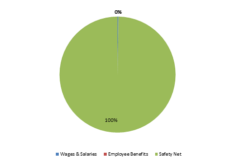 Pie Chart: Wages & Salaries=0%, Employee Benefits=0%, Safety Net=100%