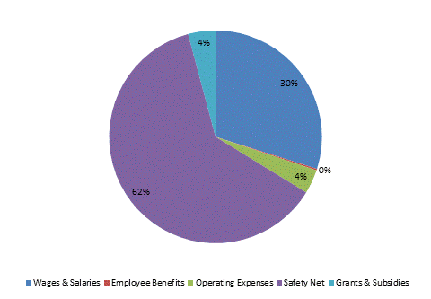 Pie Chart: Wages & Salaries=30%, Employee Benefits=0%, Operating Expenses=4%, Safety Net=62%, Grants & Subsidies=4%