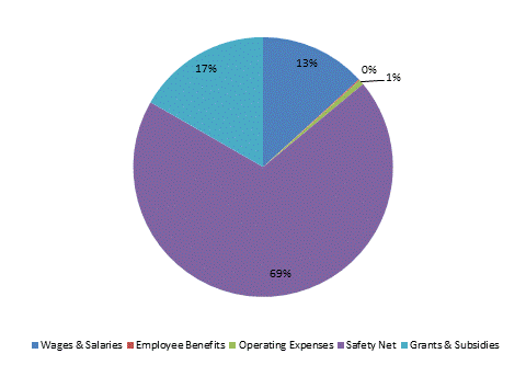 Pie Chart: Wages & Salaries=13%, Employee Benefits=0%, Operating Expenses=1%, Safety Net=69%, Grants & Subsidies=17%