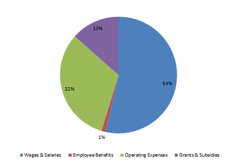 Pie Chart: Wages & Salaries=54%, Employee Benefits=1%, Operating Expenses=32%, Grants & Subsidies=13%