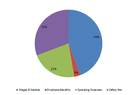 Pie Chart: Wages & Salaries=44%, Employee Benefits=3%, Operating Expenses=22%, Safety Net=31%